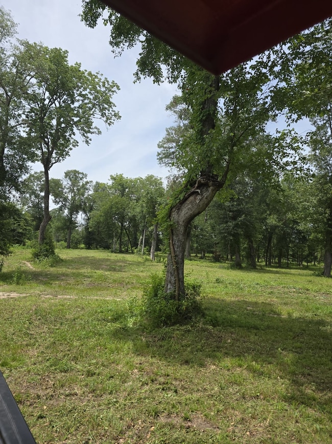 3116 State Highway 75 N, Huntsville, TX 77320 - photo 5