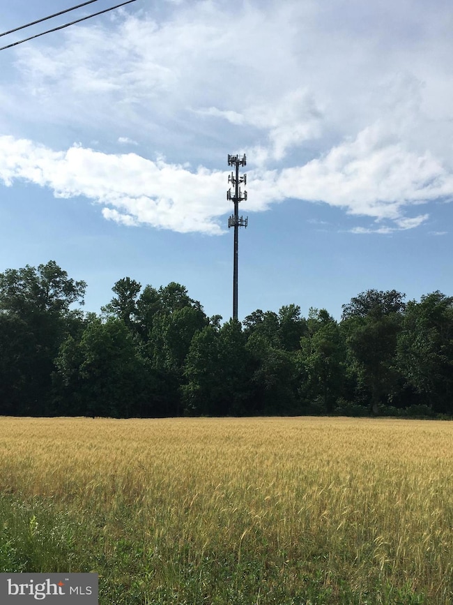 Lot 1 Carroll Clark Rd, Galena, MD 21635 - photo 3