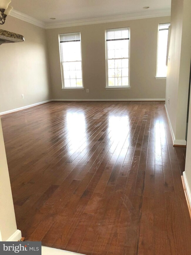 25300 Shipley Terrace, Chantilly, VA 20152 - photo 4