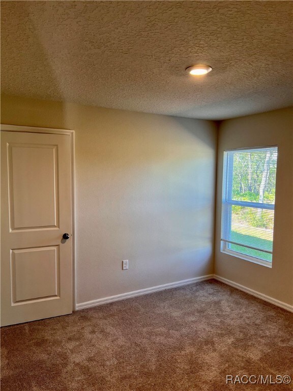 6652 N Bedstrow Blvd, Dunnellon, FL 34434 - photo 4