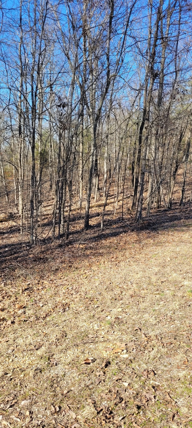 1 Eagle Shore Dr, Dover, TN 37058 - photo 4