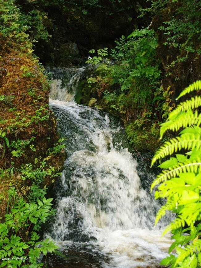 101 Cabin Ridge Rd, Cordova, AK 99574 - photo 5