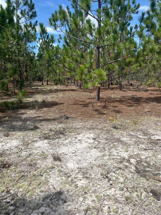 PPF 8 Payne Pond Rd unit PPF 8, Westville, SC 29175 - photo 6