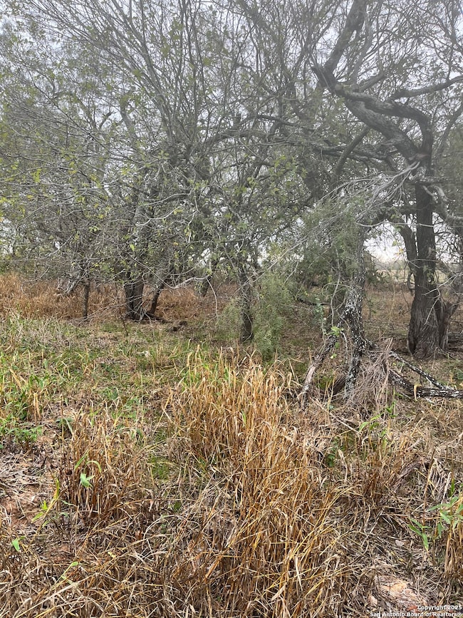 899 Farm To Market 1346, La Vernia, TX 78121 - photo 2