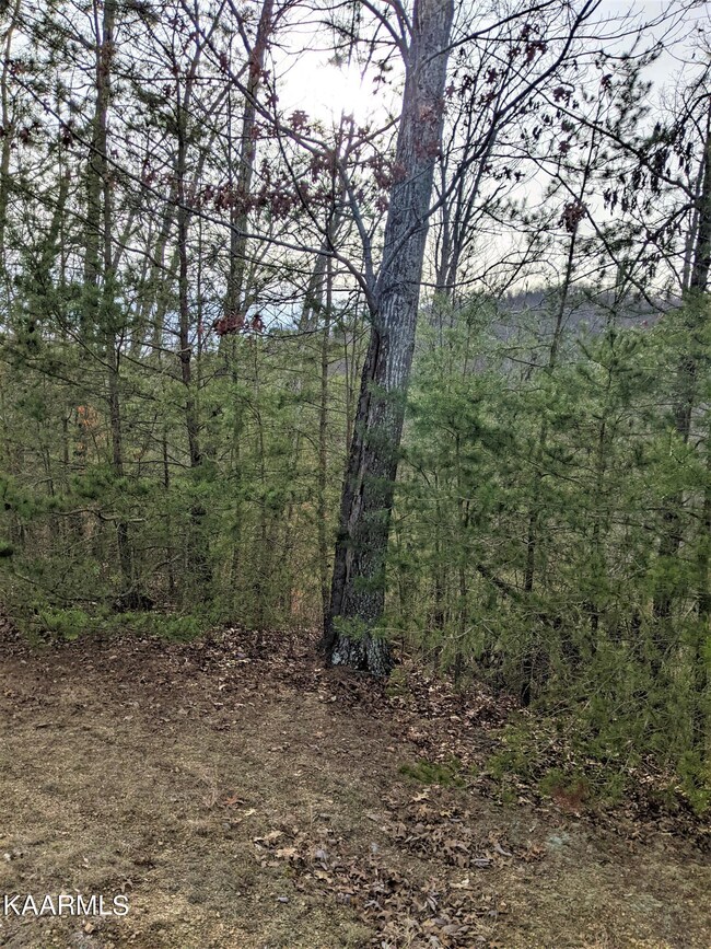 View of lot 121 from the street