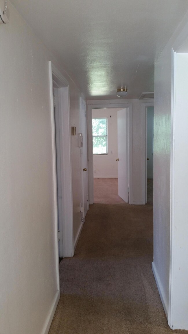 4733 Attleboro St, Jacksonville, FL 32205 - photo 5