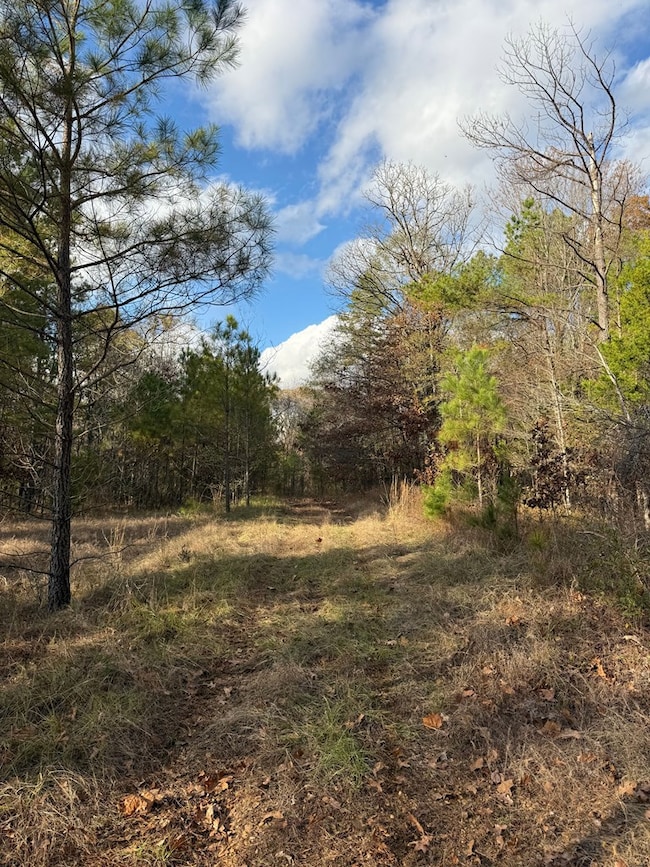 000 Rd, Grenada, MS 38901 - photo 3
