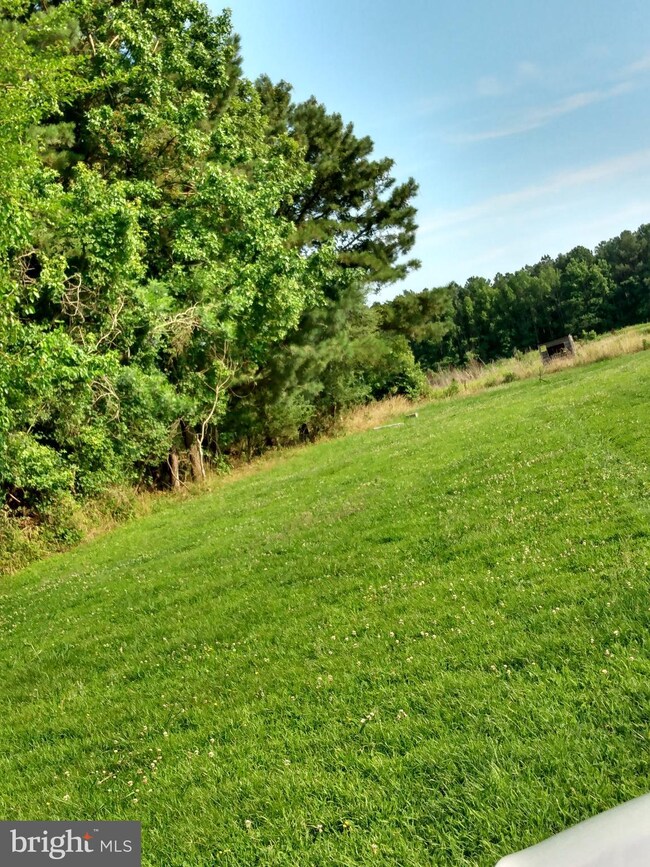 0 Jesterville Rd unit MDWC2000364, Bivalve, MD 21814 - photo 7