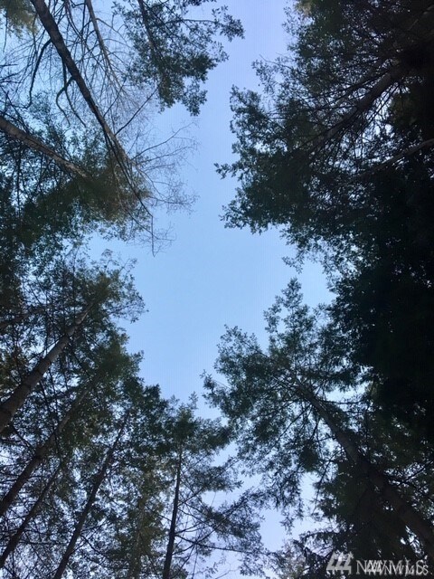 7303 (Lot 2) 184th St NW, Stanwood, WA 98292 - photo 5