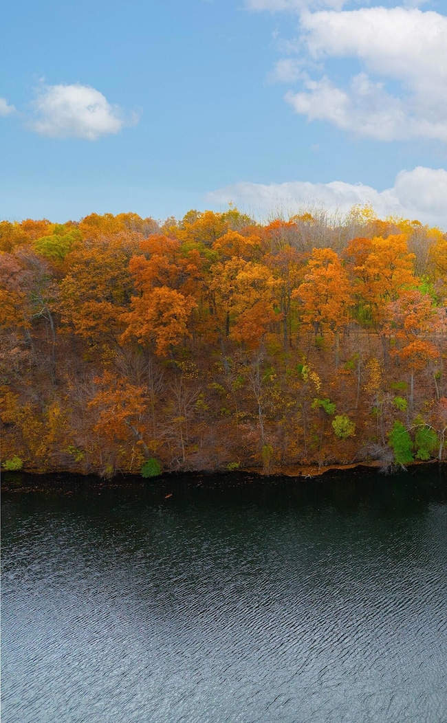 VL 0 Burroughs Aerial 2