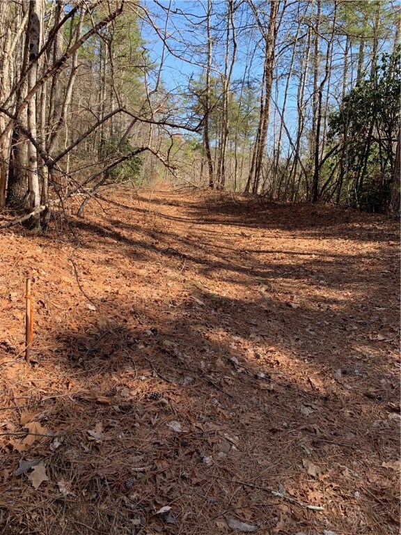 00 Ridge Rd, Tamassee, SC 29686 - photo 4