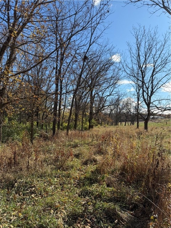 9264 Caleb Rd, Argenta, IL 62501 - photo 6