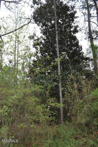 00 Interior Land Bayou La Croix, Bay Saint Louis, MS 39520 - photo 3