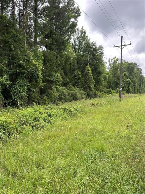 TBD Lake Charles Hwy, Leesville, LA 71446 - photo 2
