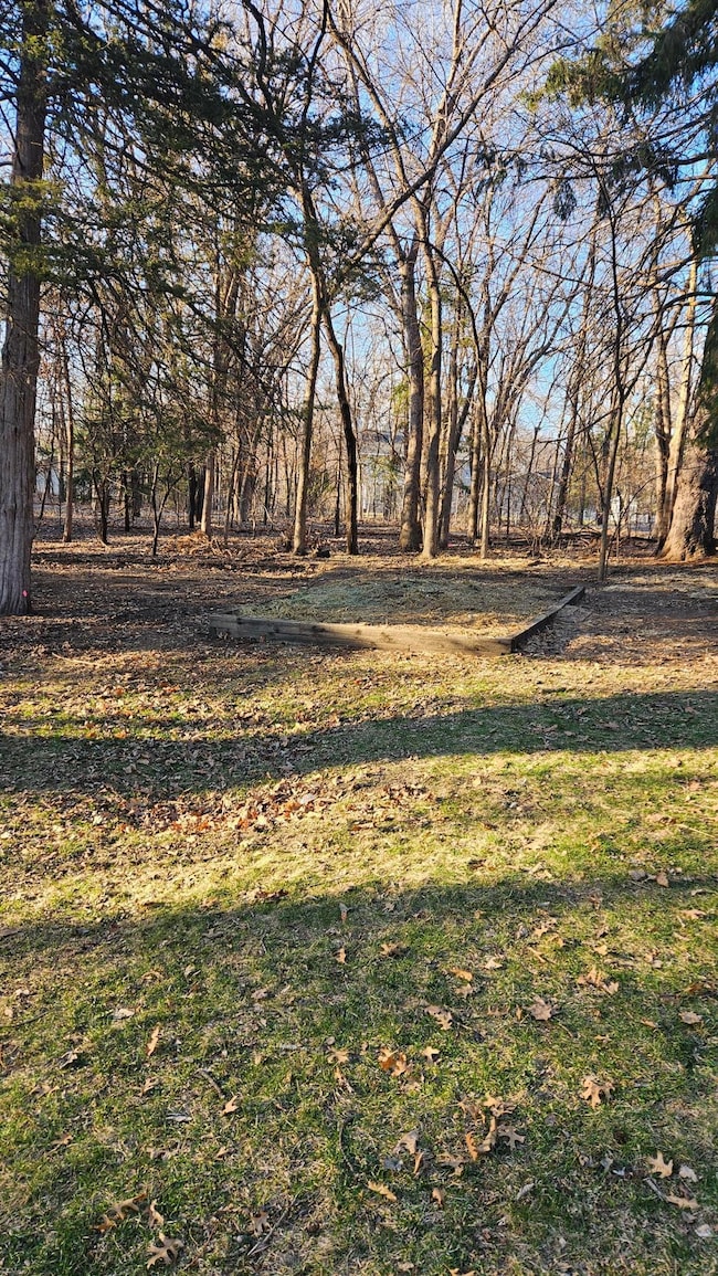 5920 hodgson trees.jpg