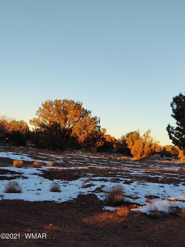 IMG_20210127_173036952