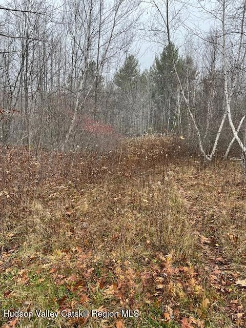 Tbd Goshen St, Jewett, NY 12444 - photo 2