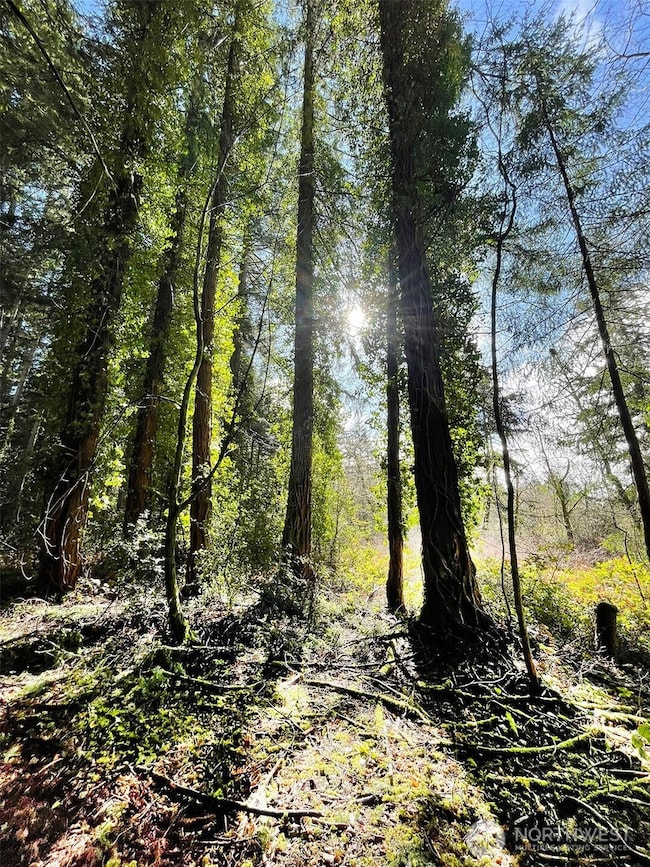 12+ Acres clost to Vashon's town, sunny, wooded and private.