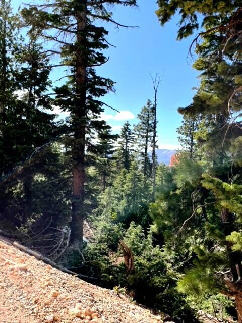 1130 W Big Horn Cir, Duck Creek Village, UT 84762 - photo 2