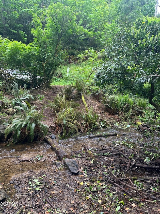 Risley Creek