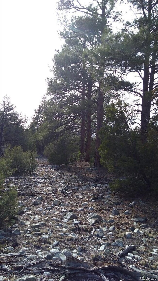 13 Costilla Place unit 12, 13, 14, Mosca, CO 81146 - photo 2