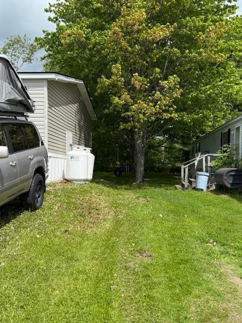 Back yard