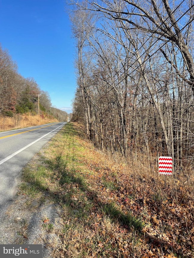 0 Hannah Ct unit WVHS2007060, Yellow Spring, WV 26865 - photo 4