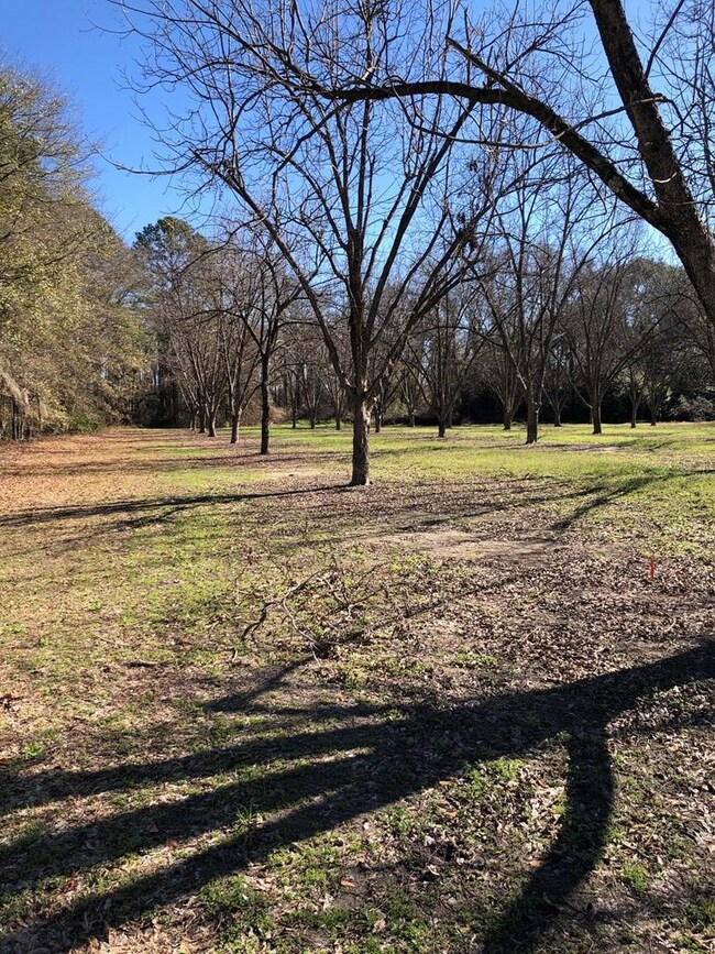 4217 Val Del Rd, Adel, GA 31620 - photo 6
