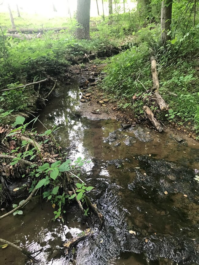 141 Jeremiah Rd, Cookeville, TN 38506 - photo 4