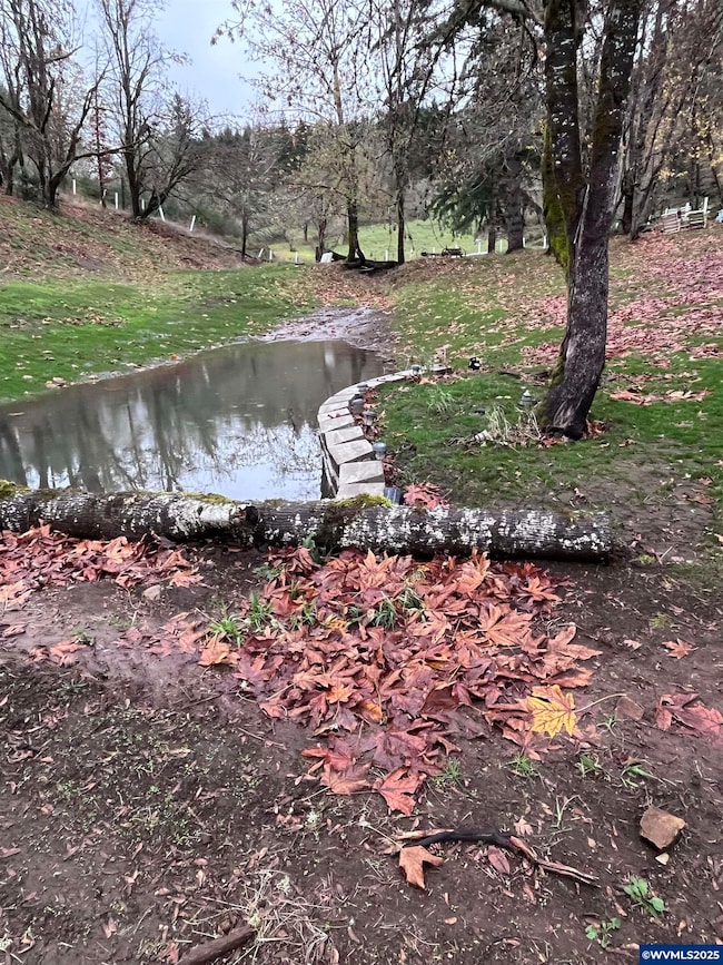 4555 Lobo Ln NE, Silverton, OR 97381 - photo 6