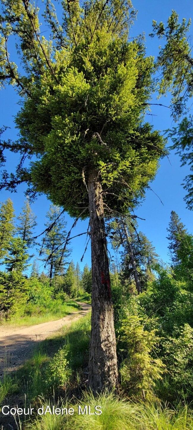 Mile Marker 4 - Intersection to top and