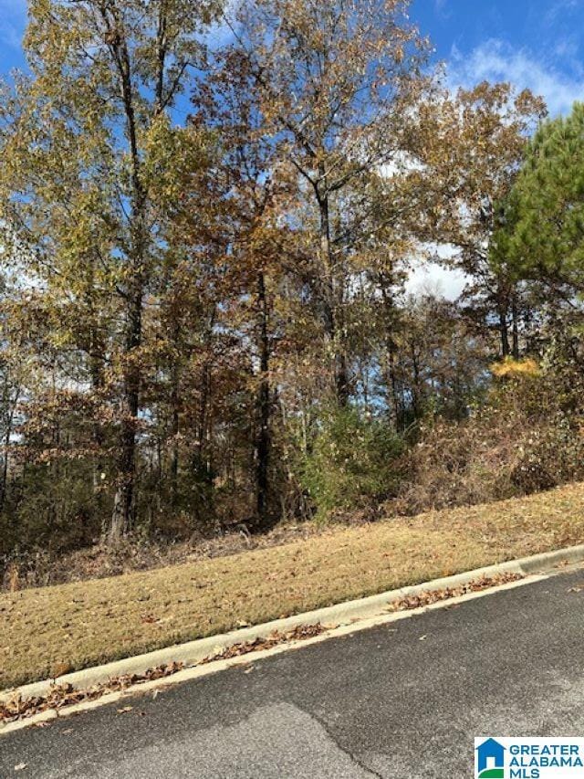 113 Crest Dr, Chelsea, AL 35043 - photo 3