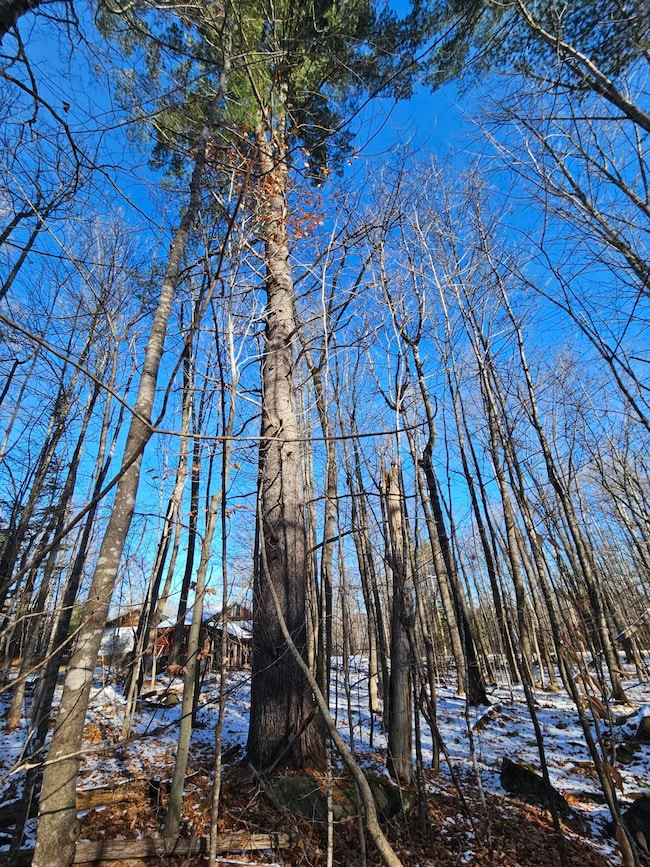 R09-L13-3 Ski Slope Rd, Farmington, ME 04938 - photo 4