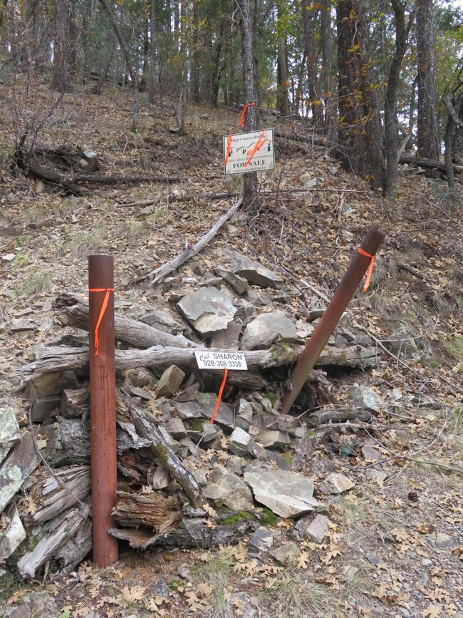 Old Driveway Entrance