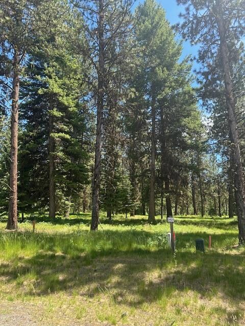 11 Vernon Ct unit Lot 24, McCall, ID 83638 - photo 5