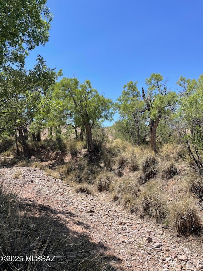 16 Acres E Camino Verde Dr, Pearce, AZ 85625 - photo 4