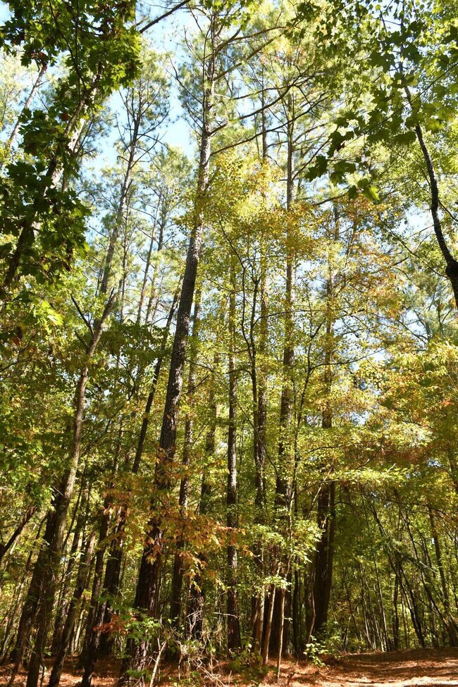 1350 Grover Wilson Rd, Blythewood, SC 29016 - photo 7