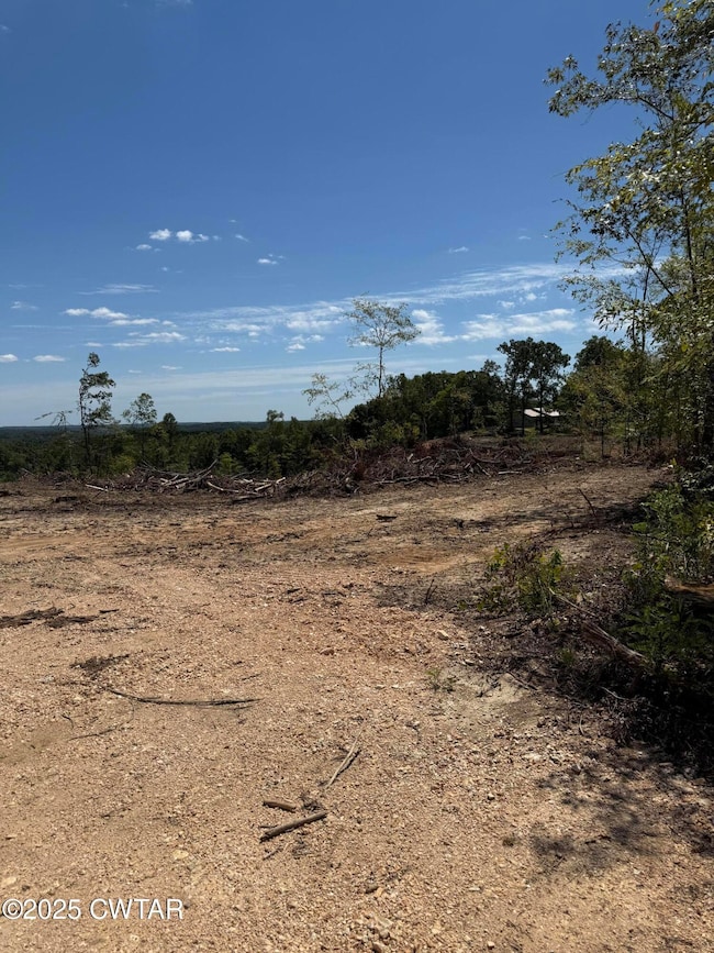 0 Whiskey Ridge Rd, Paris, TN 38242 - photo 3