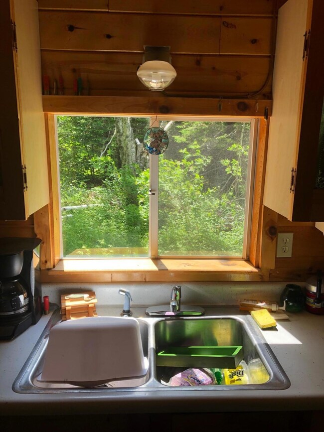 Kitchen Window (Hunt Russell Pond)