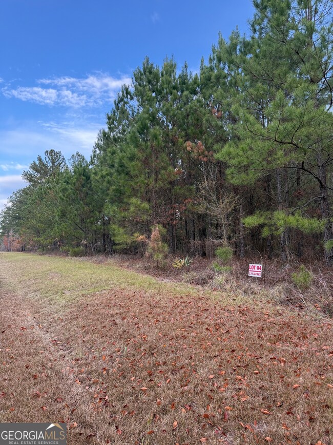 0 Muskogee Trail unit LOT 84, Dublin, GA 31021 - photo 2