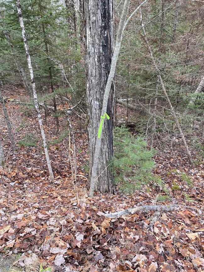 84 Vernon Ave, Haverhill, NH 03785 - photo 2