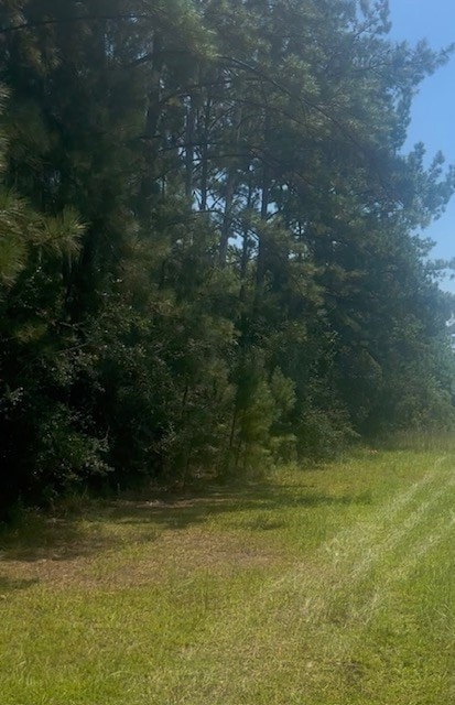 NHN Mint Julep Airpark, Perkinston, MS 39573 - photo 4