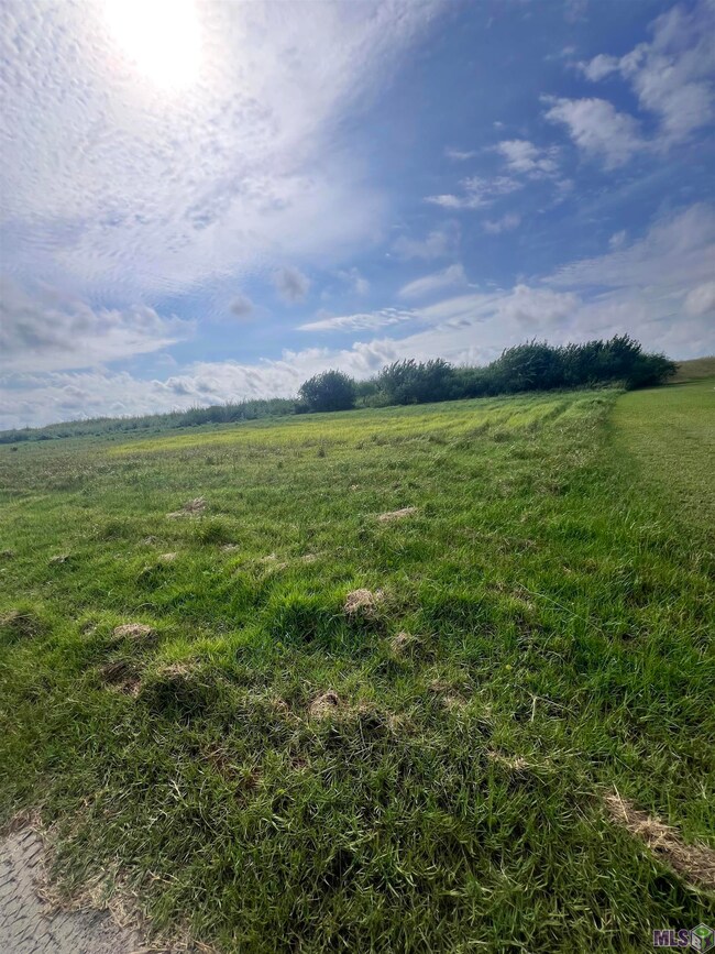 B2 Louisiana 1, Grand Isle, LA 70358 - photo 7