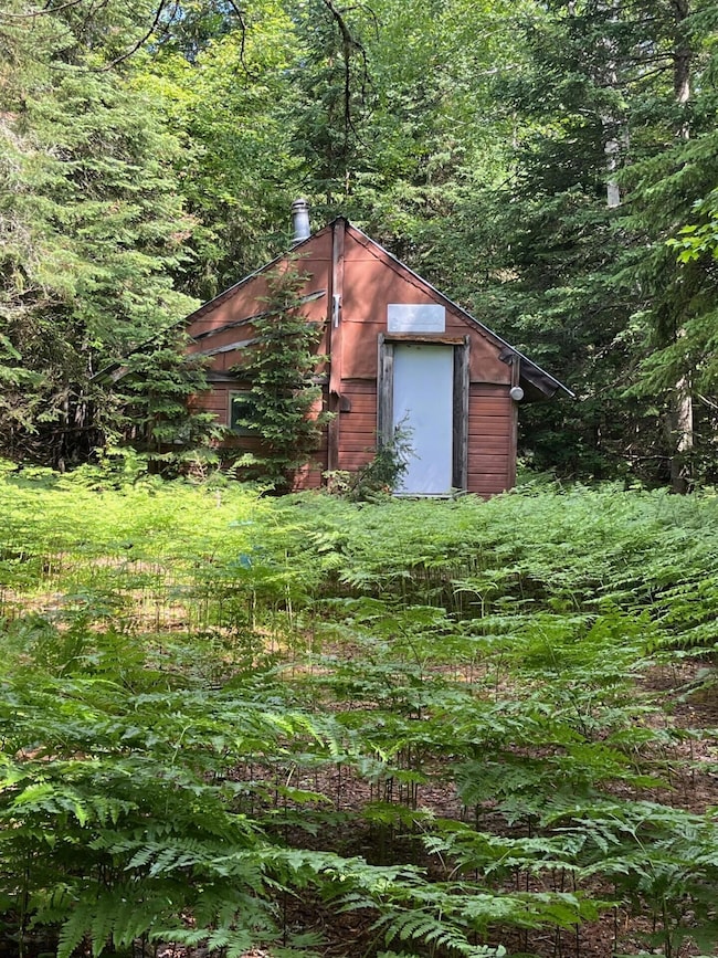 0000 N Brooke Rd, Whitefish Township, MI 49768 - photo 6