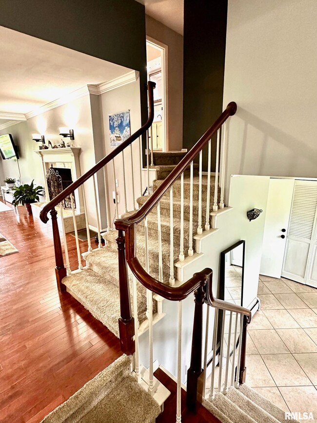 203 Leland Lake Dr, Jacksonville, IL 62650 - photo 4