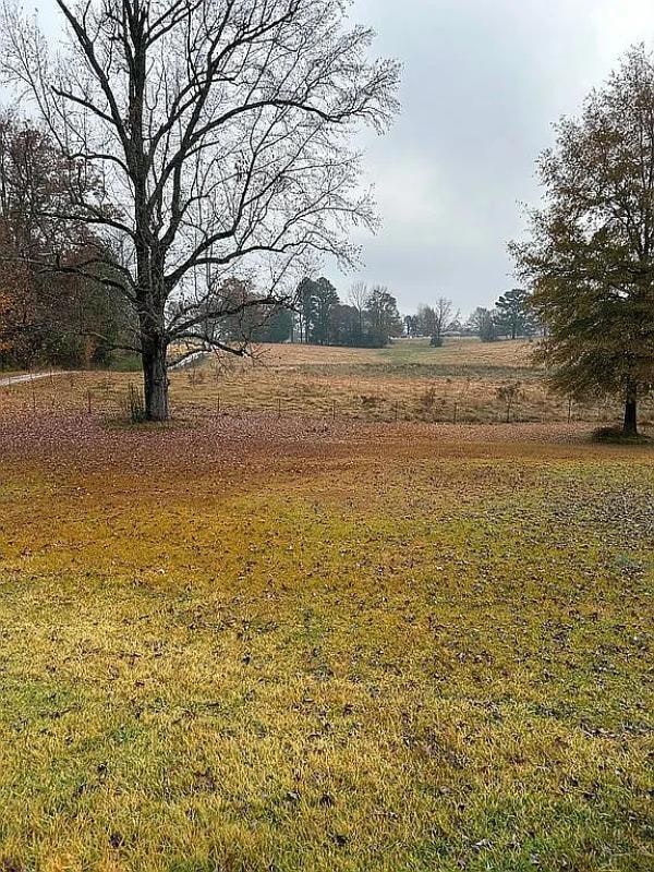 921a Mississippi 371, Mooreville, MS 38857 - photo 4