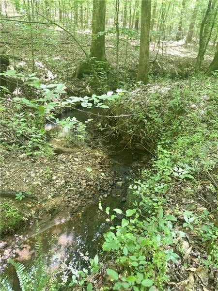 0 Benson Rd unit 7687374, Dallas, GA 30132 - photo 4