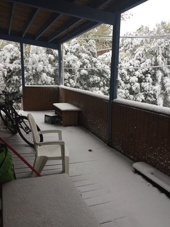 414 Putnam Ave unit 1, Cambridge, MA 02139 - photo 7