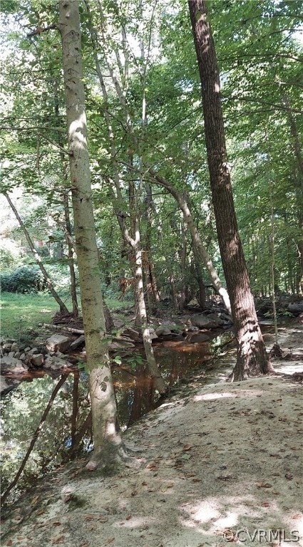 Another creek area on the property