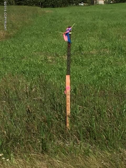 2720 S Mccombs Rd, Palmer, AK 99645 - photo 4